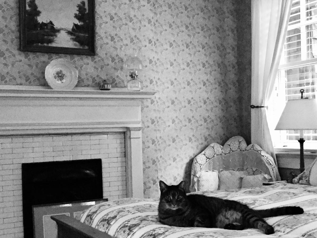Inman Park Bed And Breakfast Atlanta Zewnętrze zdjęcie